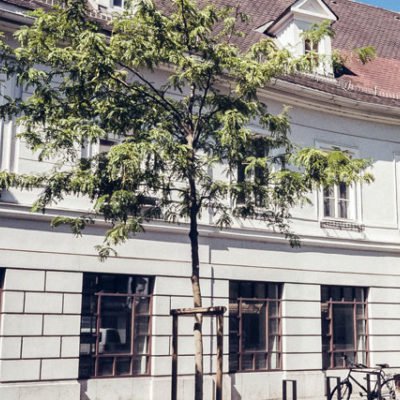 Palais im Annenviertel