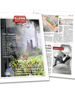 presse-kz-gs53-artikel